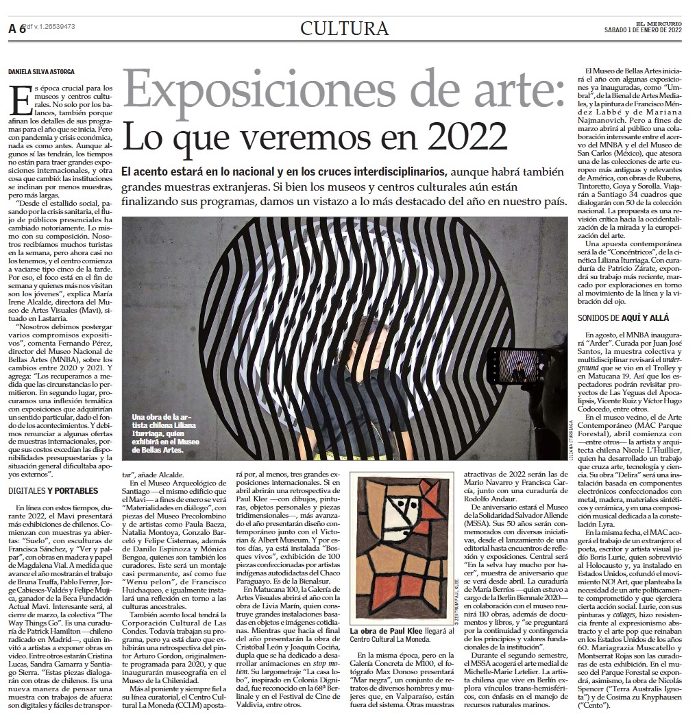 Liliana Iturriaga - MNBA